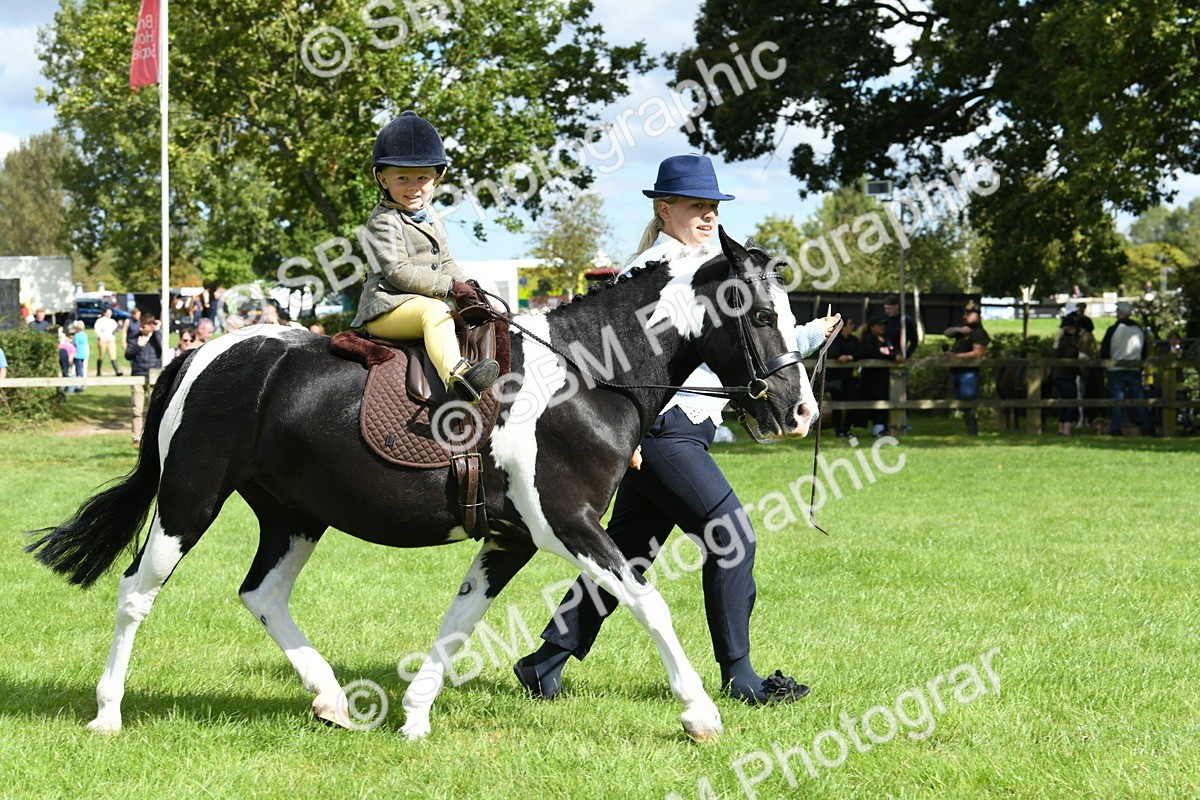 SBM_41215 - S19 - Lead Rein Show & Show Hunter Pony