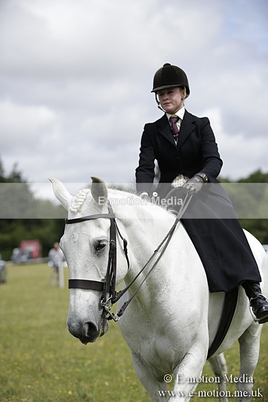 BVR160717-1967 - Side Saddle Classes 16/07/17