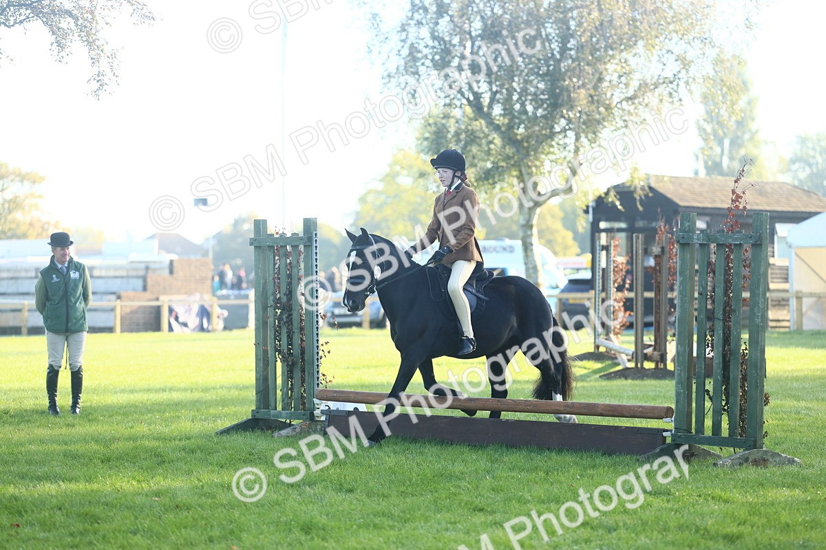 SBM_31941 - S28 - Nursery Stakes Working Hunter Pony