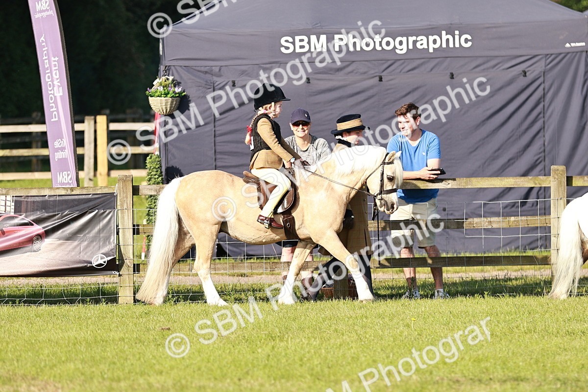 SBM_11010 - Class 106-107 - BSPS LIHS Working Sports Pony