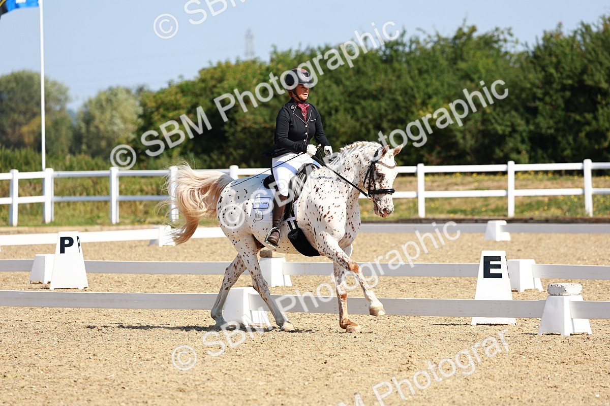SBM_009659 - Elementary 5 - 9.38-10.58