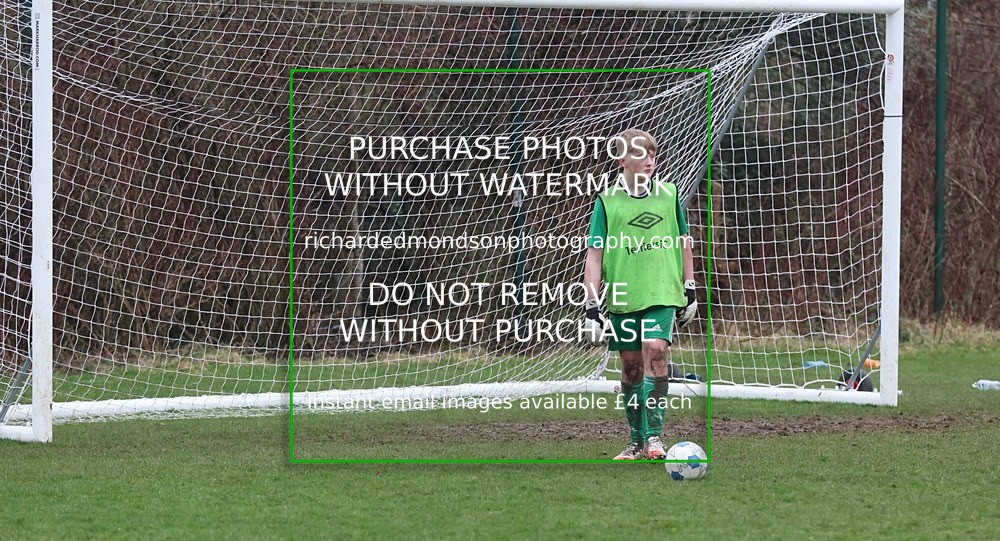 533A6660 - Lonsdale Terriers