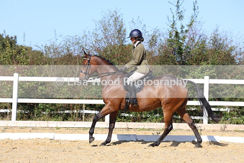 3E7A5737 - Class 10: Riding Horse