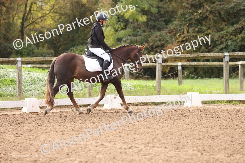 20251021-0012 - Class 2 - Intro 4