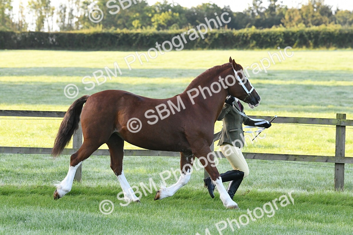 SBM_32518 - S15 - Condition & Turnout In Hand