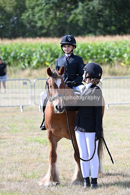 WJ7_2747 - Class 8 Ridden Tack & Turnout