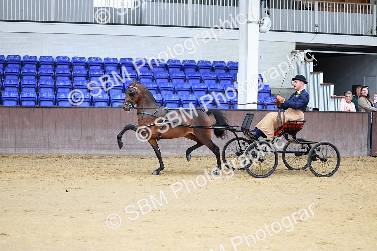 SBM_000641 - Class 9 - HHS Championship Intl Hackney Pony to a Showwagon
