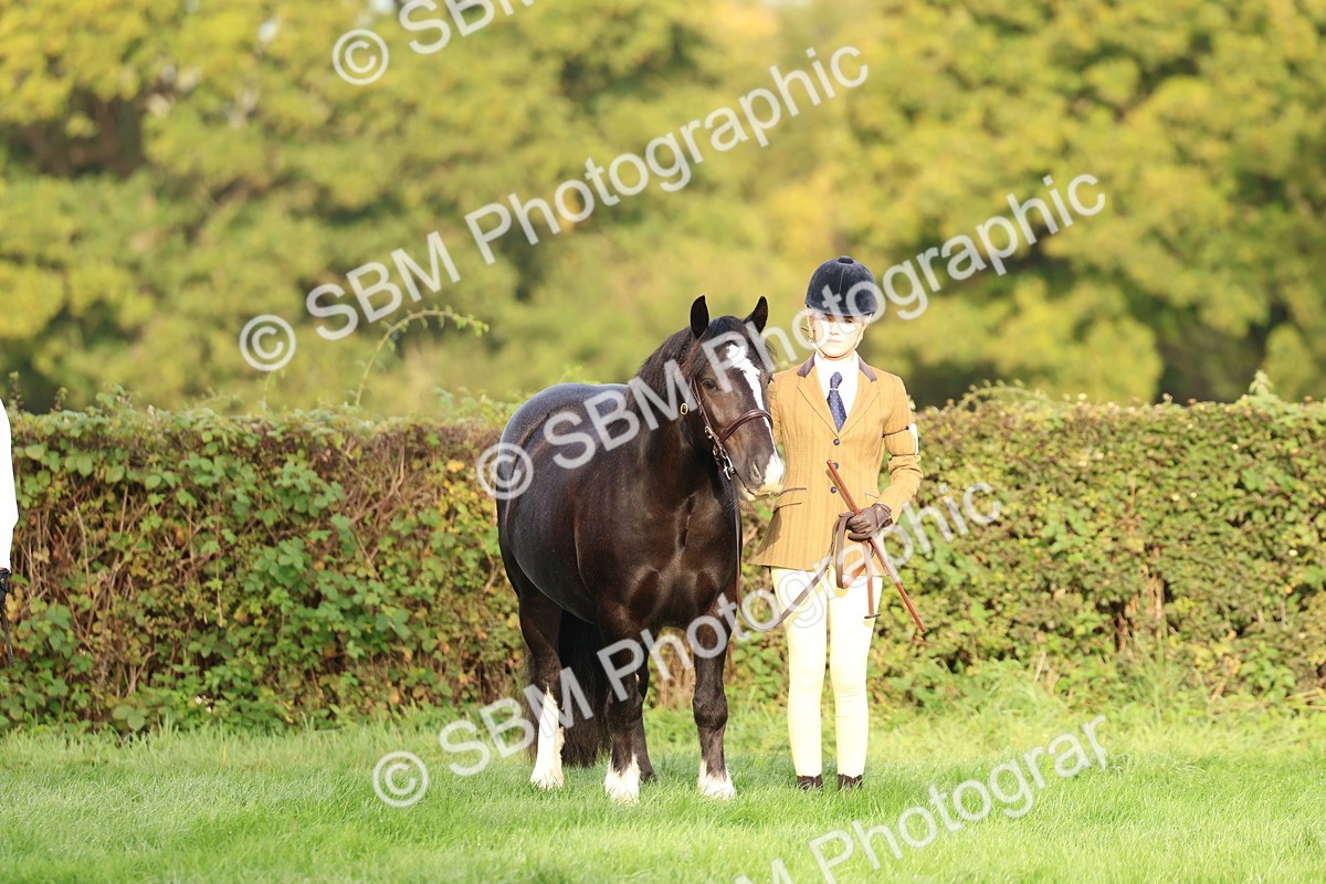 SBM_54876 - S39 - Starters In Hand Showing