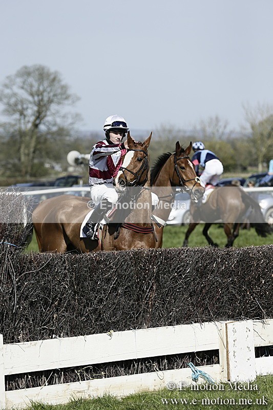 PtP 260317 147 - Mendip Farmers Point-to-Point Ston Easton 26/03/17