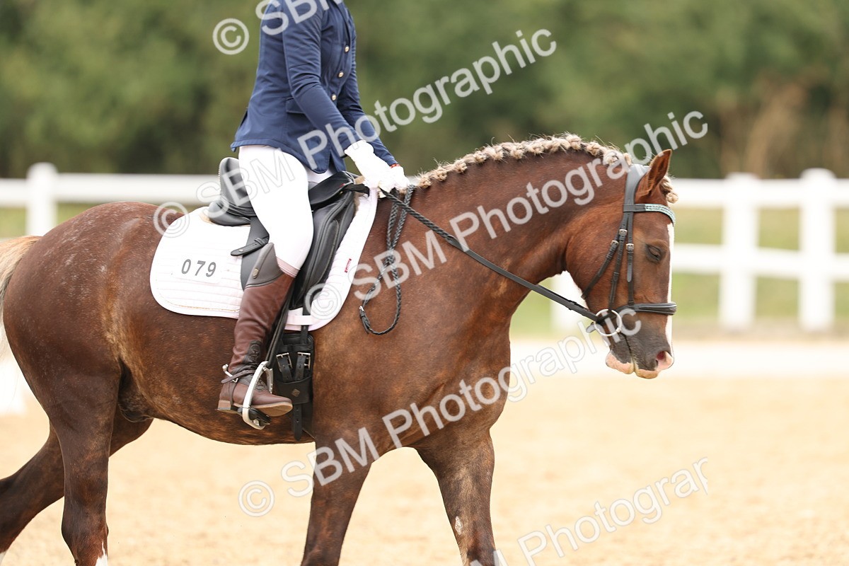 SBM_01051 - Class 8 - Novice 27 Champs
