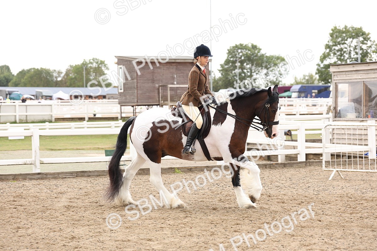 SBM_04194 - Class 54 - Riding Club Horse/Pony