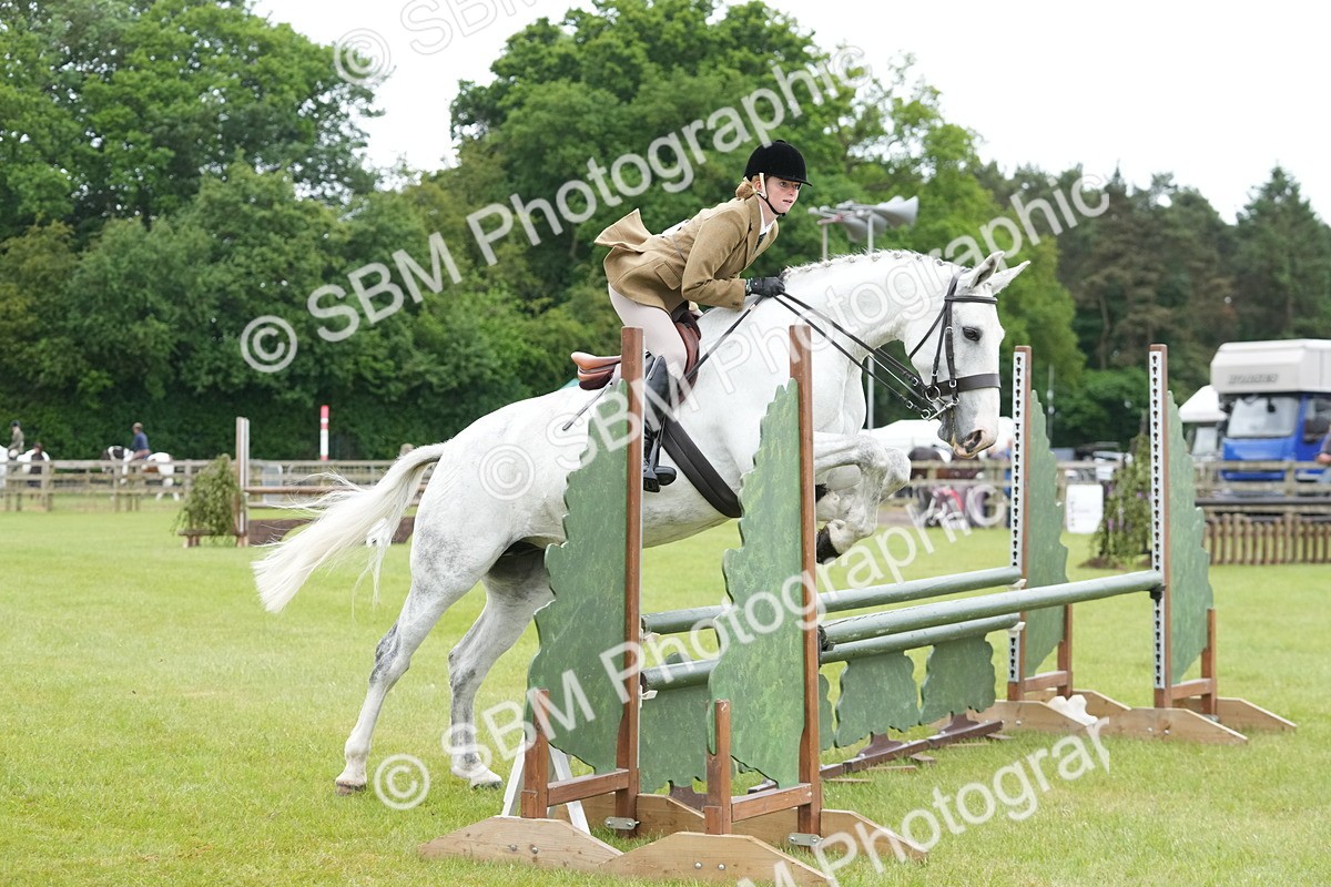 SBM_12527 - Class 97-98 - LIHS BSHA Rising Star Working Show Horse Hunter
