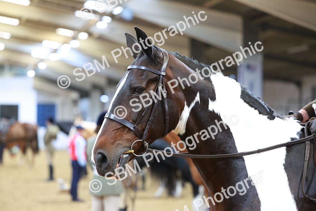 SBM_09756 - Class 102 - HOYS Veteran Qualifier - Ridden Veteran
