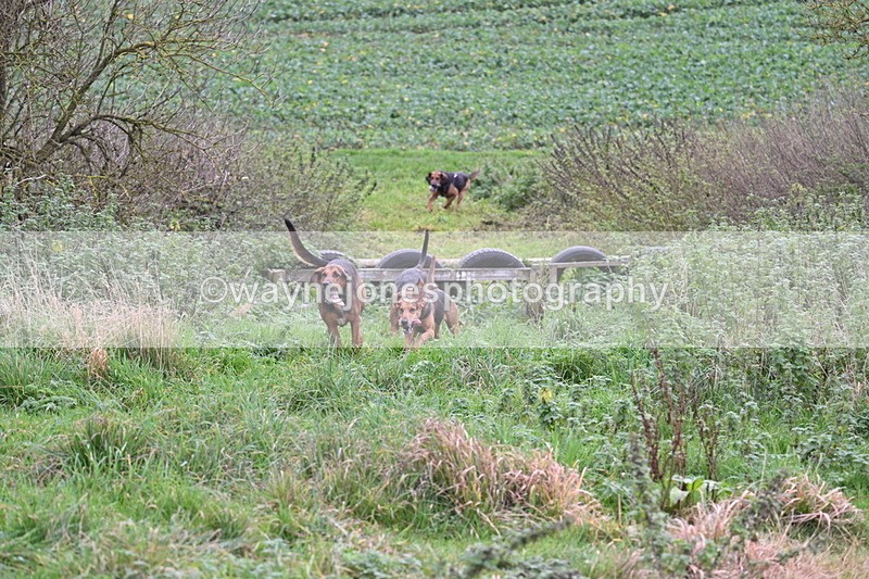 WJ7_8928 - Camera 1 only on this line