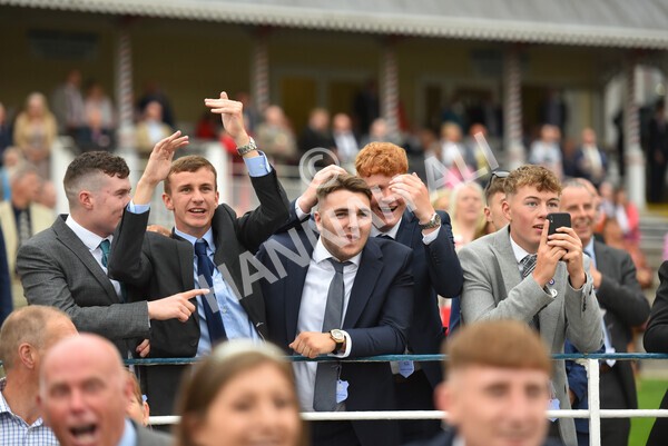 yr22072022r5-43 - Race 5 7.20pm British Stallion Studs EBF Lyric Fillies' Stakes