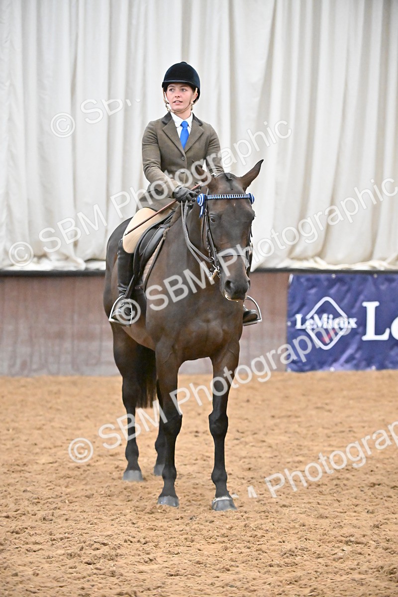 SBM_002361 - Class 22 - BSHA Ridden Hack & Riding Horse