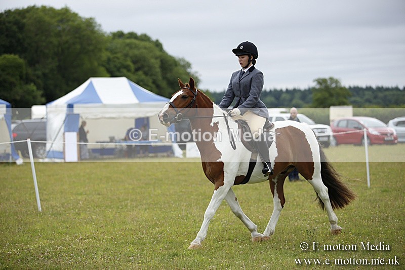 BVR160717-63 - Ring 1 BVRC Show 16/07/17