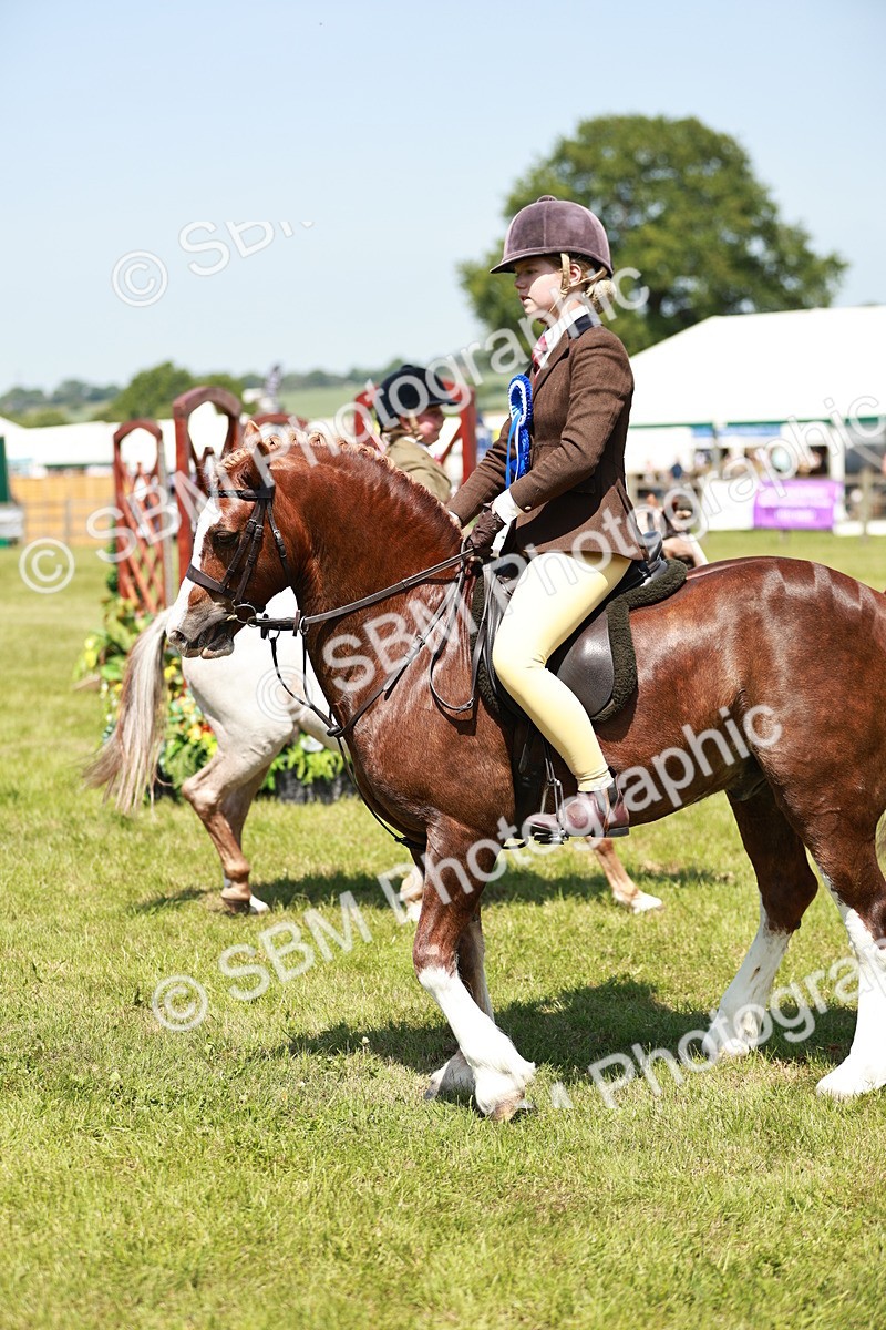 SBM_15813 - Class 108-109 - BSPS LIHS Open Gradle & Nursery Stakes