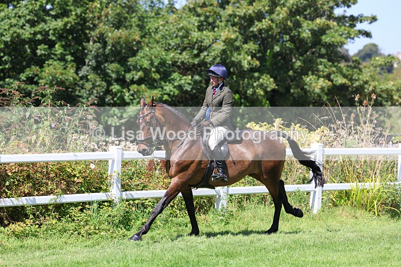 3E7A9210 - Working Hunter Championship