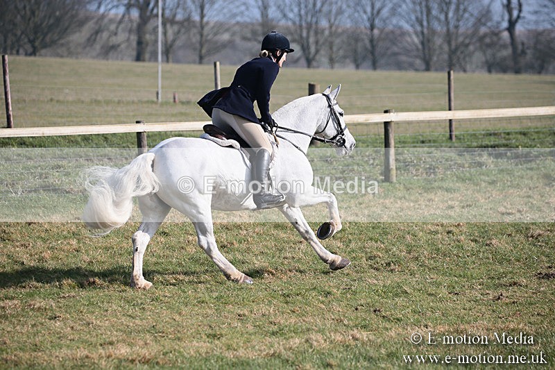 PtP 230219 275 - Vine & Craven Point-To-Point - Barbury 23/02/19