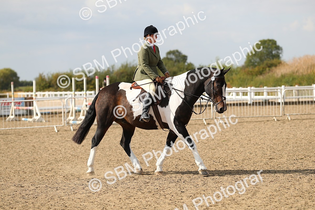 SBM_06816 - Class 49a Style & Performance 80cm (15-19)