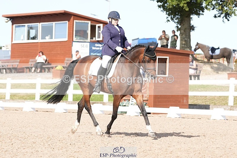 250817-164926-11964 - 211-Carey.CollettRubin's.Fanfare