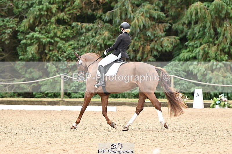 250808A-102932-00325 - 024-Daisy.Hedges-Felicia.V