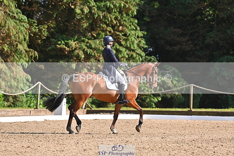 250523A-163235-08085 - B-378-Molly.Brown-KILRUSH.RED