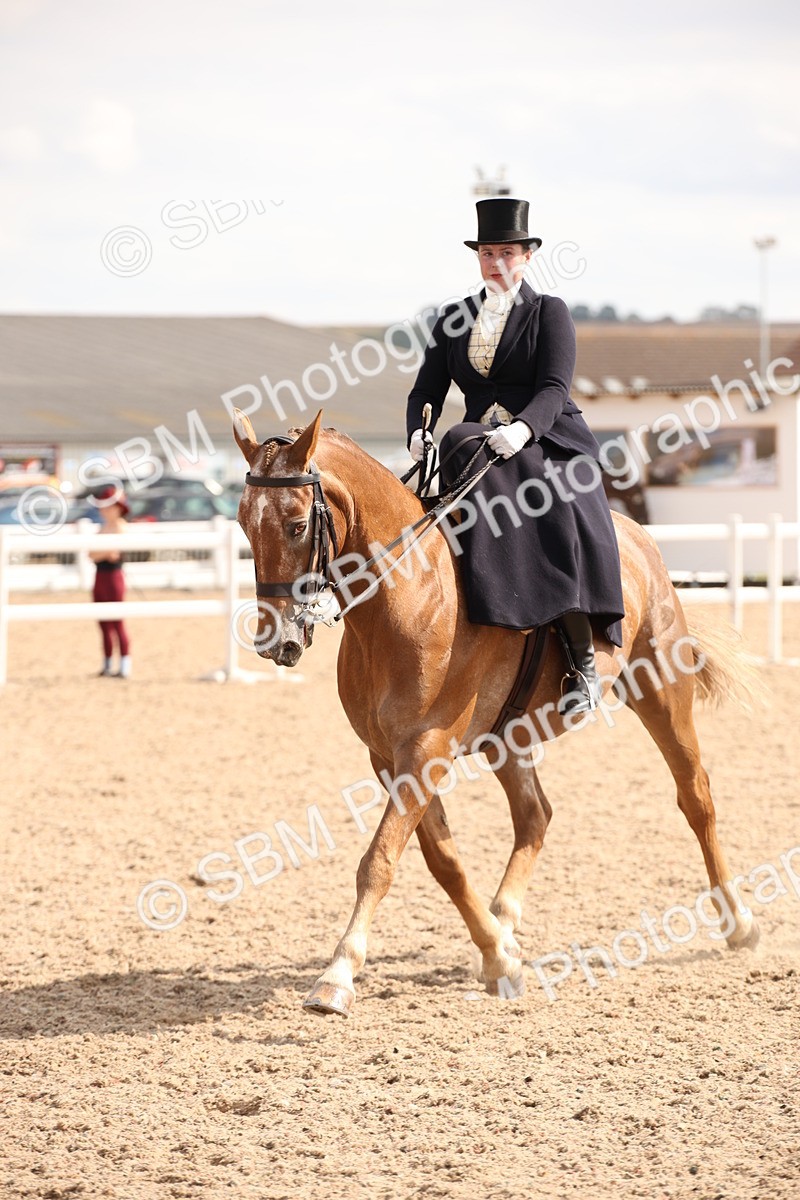 SBM_06725 - Class 24 Concours d'elegance