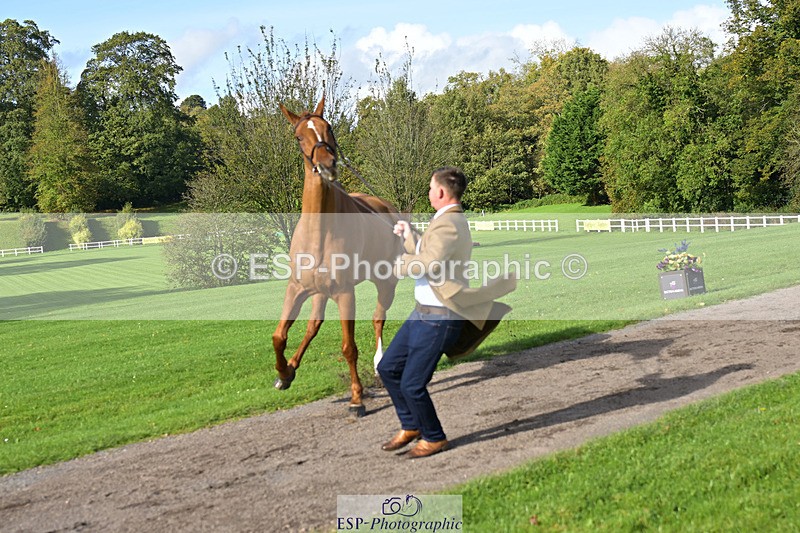 241023-131023-00112 - 054-Matthew.Heath-DASSETT.VENTURE