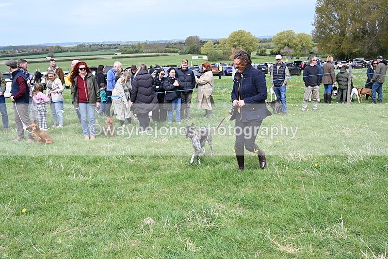 WJ6_8344 - Class 4 Prettiest Bitch