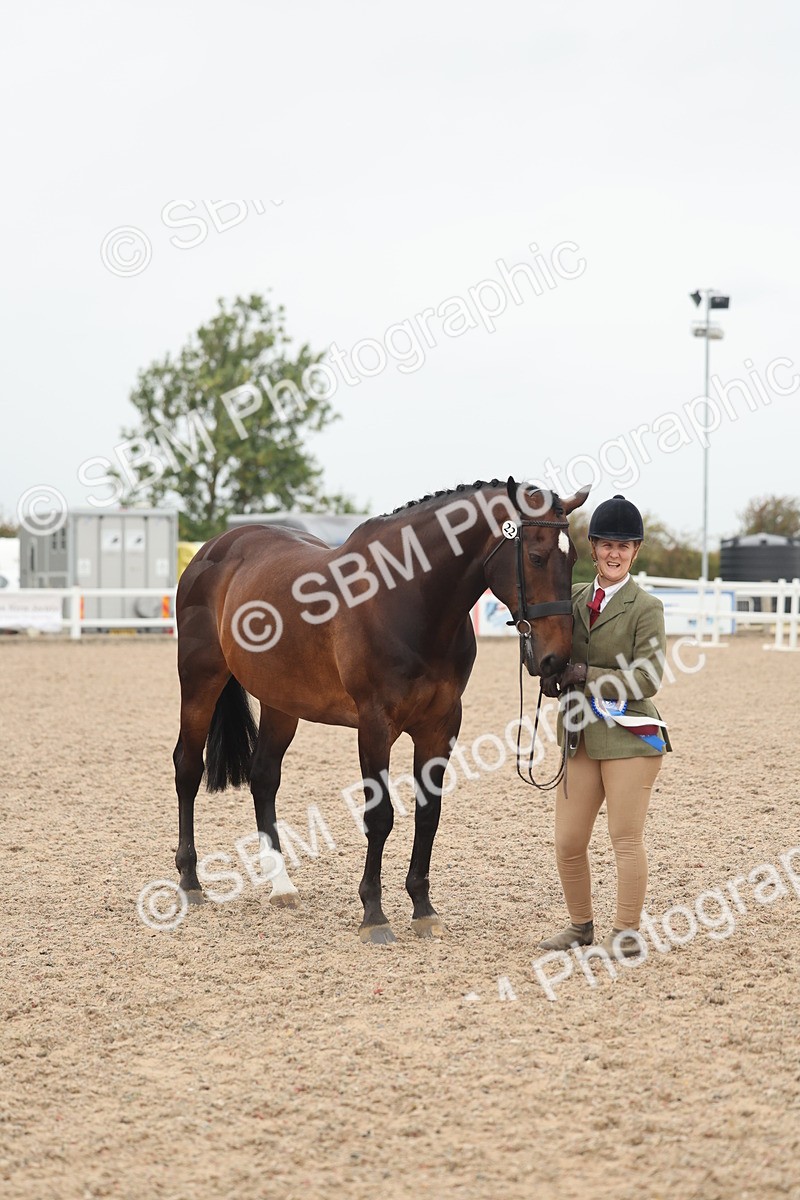 SBM_19893 - Class 318 - IH Part Bred Horse-Pony