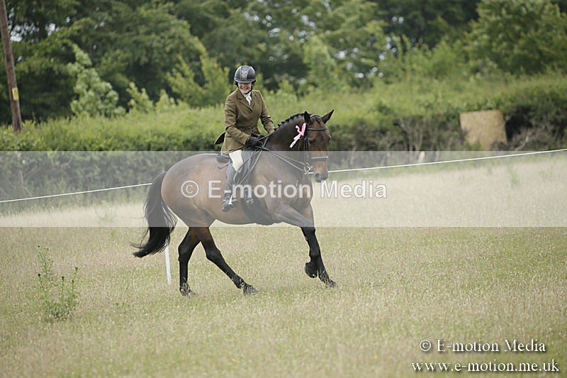 B230619-0817 - Bourne Valley Riding Club Summer Show 23/06/19