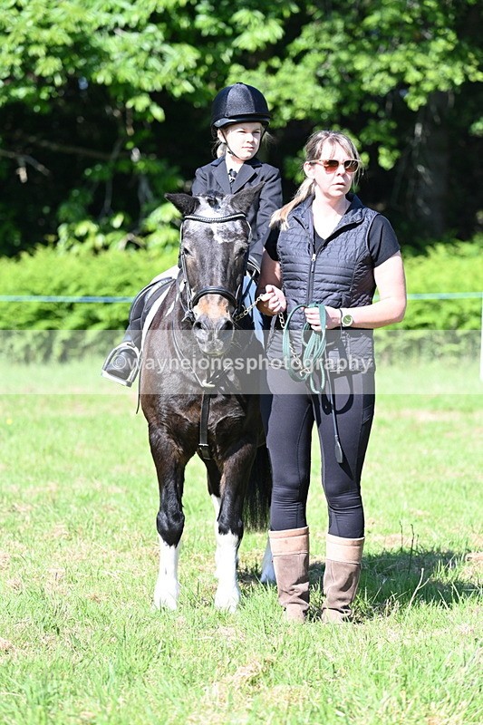 WJ7_0381 - Class 8 First Rally Pony