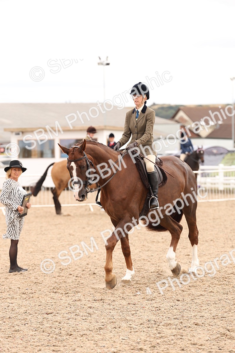 SBM_17230 - Class 213 - Ridden Hunter - Large