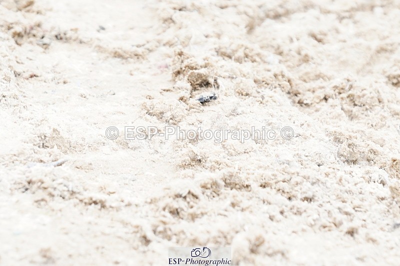 250420A-140126-01073 - Cls 04 90cm