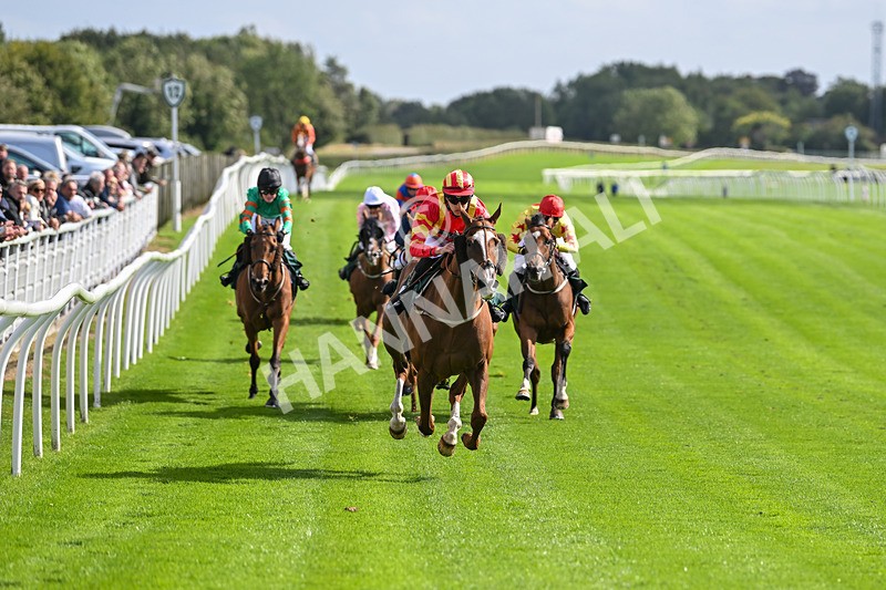 100924-Race 1-The Dancing Poet-9863 - Race 1