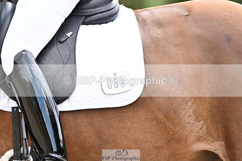 250808A-154545-01526 - 068-Jennifer.CharlestonRoulette.Magic