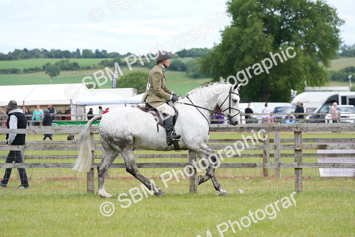 SBM_14880 - Class 100-102 - RIHS Working Hunter