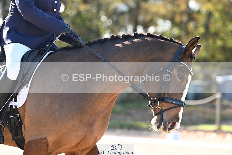 231110-120356-00563 - Cls 3 Novice 22