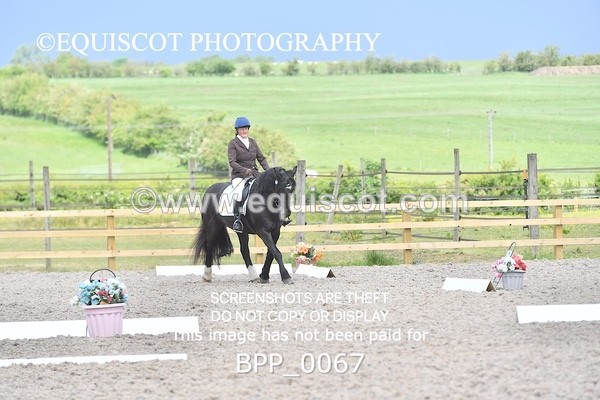 BPP_0067 - SHORT ARENA  MY QUEST PRELIM