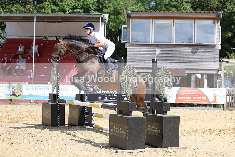 3E7A3704 - Class 4: Senior British Novice/90cm open