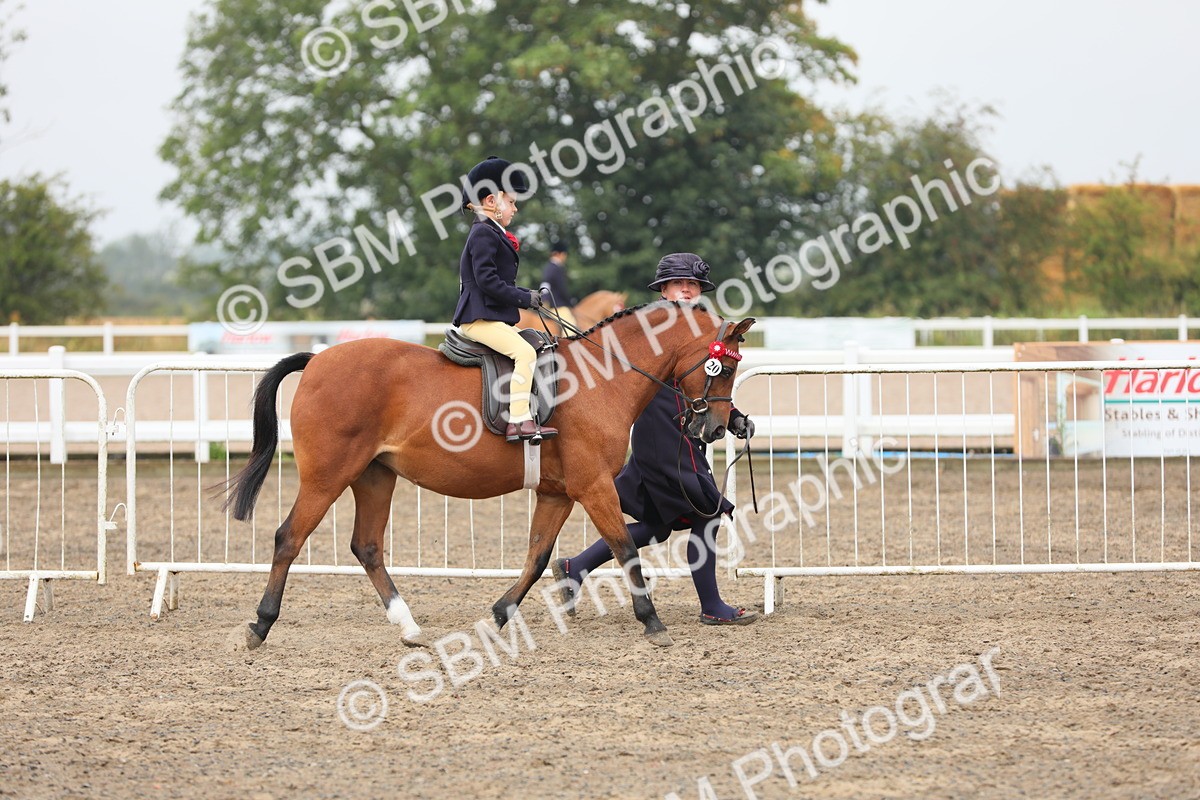 SBM_21711 - Class 806 - Young ridder 10 Yr & Under