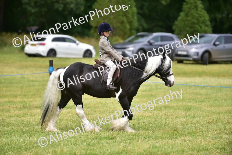 20260614-4171 - Class 17 - Best Mane and Tail