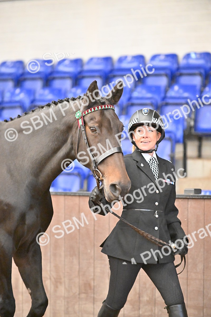 SBM_000071 - Class 4 - BSHA In Hand Show Cob