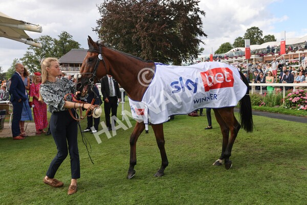 yr20082022r5-35 - Race 5 4.10pm Sky Bet Constantine Stakes