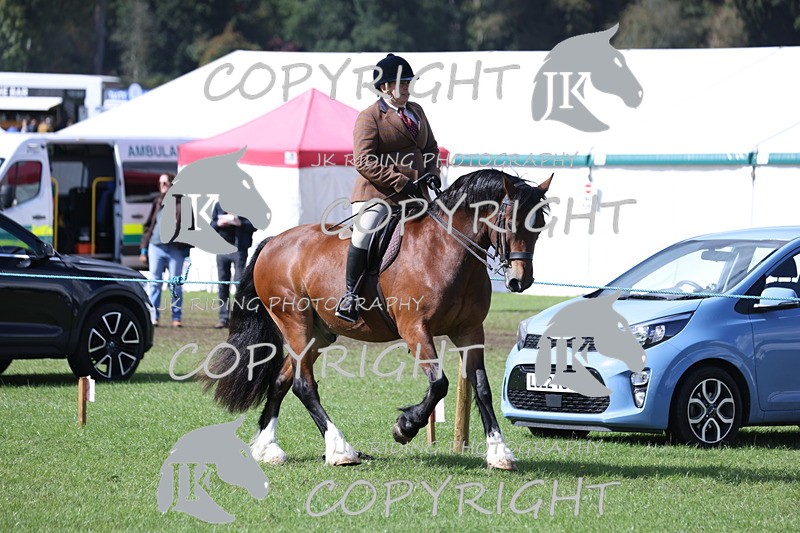 APP_3509 - Class 12 M&M ridden