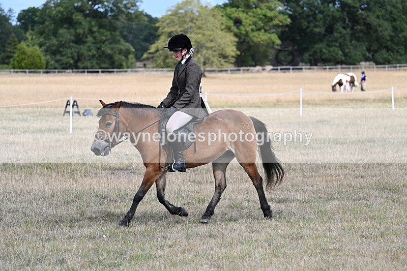 WJ7_6009 - Class 13 Ridden Veterans