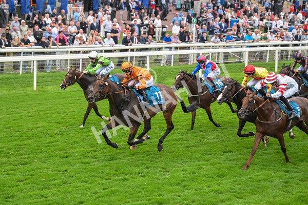 080925-Race 7-Canvas-7854 - Race 7 5.30pm Sky Bet, For The Fans Mile Apprentice Handicap