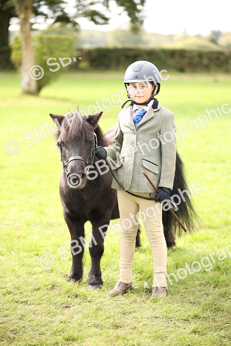 SBM_46372 - S25 - Mature Veteran In Hand